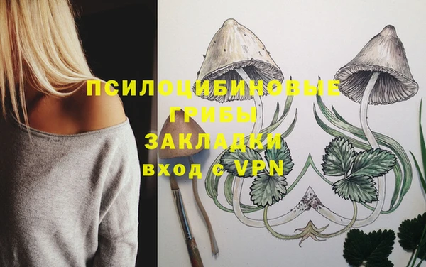 мдпв Лихославль