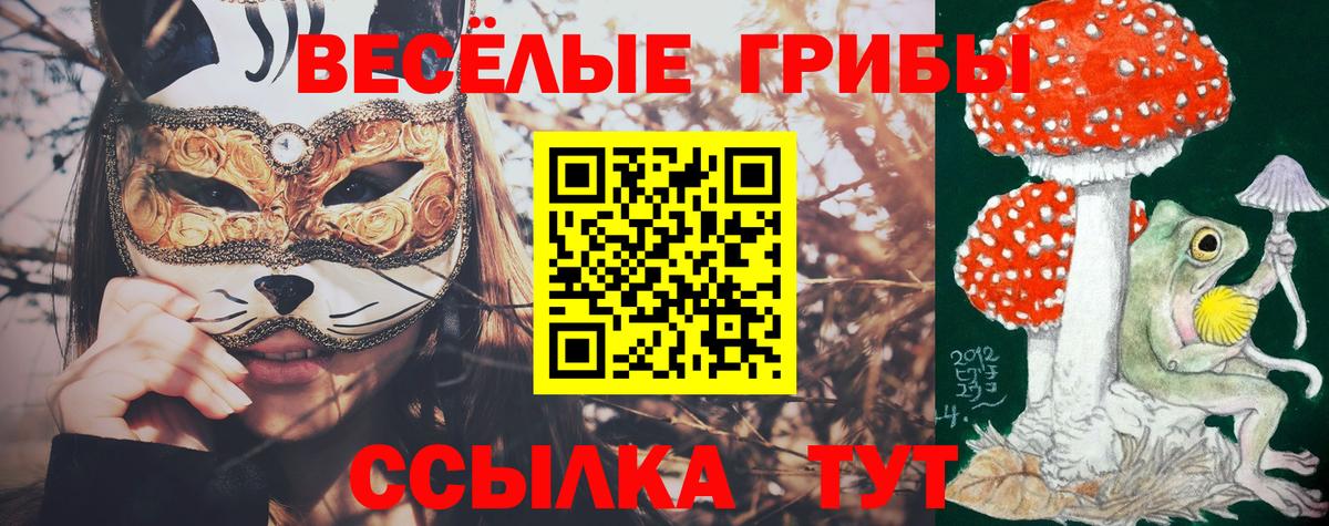 Галлюциногенные грибы Psilocybe  Псилоцибиновые грибы GOLDEN TEACHER  где купить наркотик  Вход с VPN  Ханты-Мансийск 
