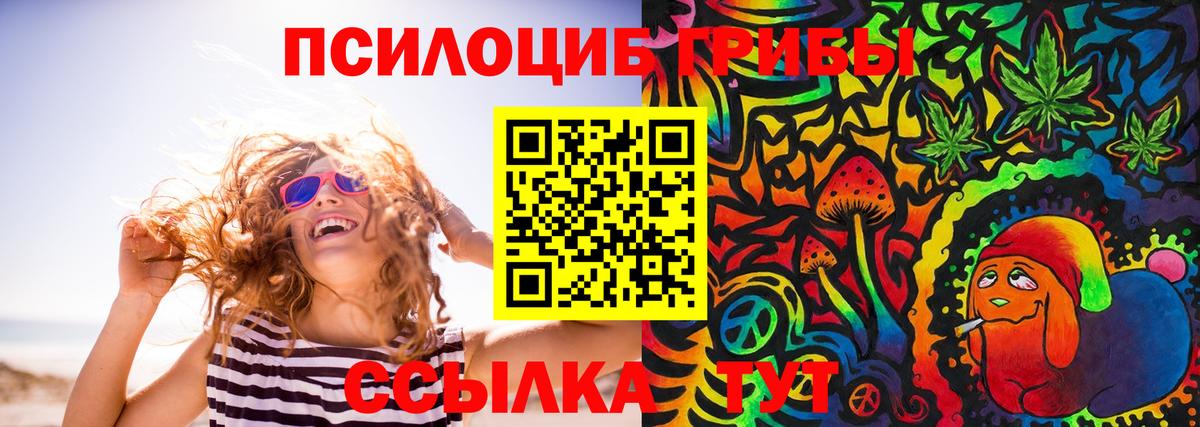 Галлюциногенные грибы Psilocybe  Ханты-Мансийск  Галлюциногенные грибы Psilocybine cubensis 